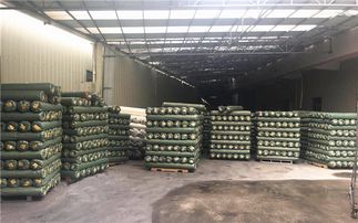 格利特新風(fēng)尚 創(chuàng)坤金蔥粉皮革聯(lián)營(yíng)百家革廠，點(diǎn)亮文藝創(chuàng)作之路